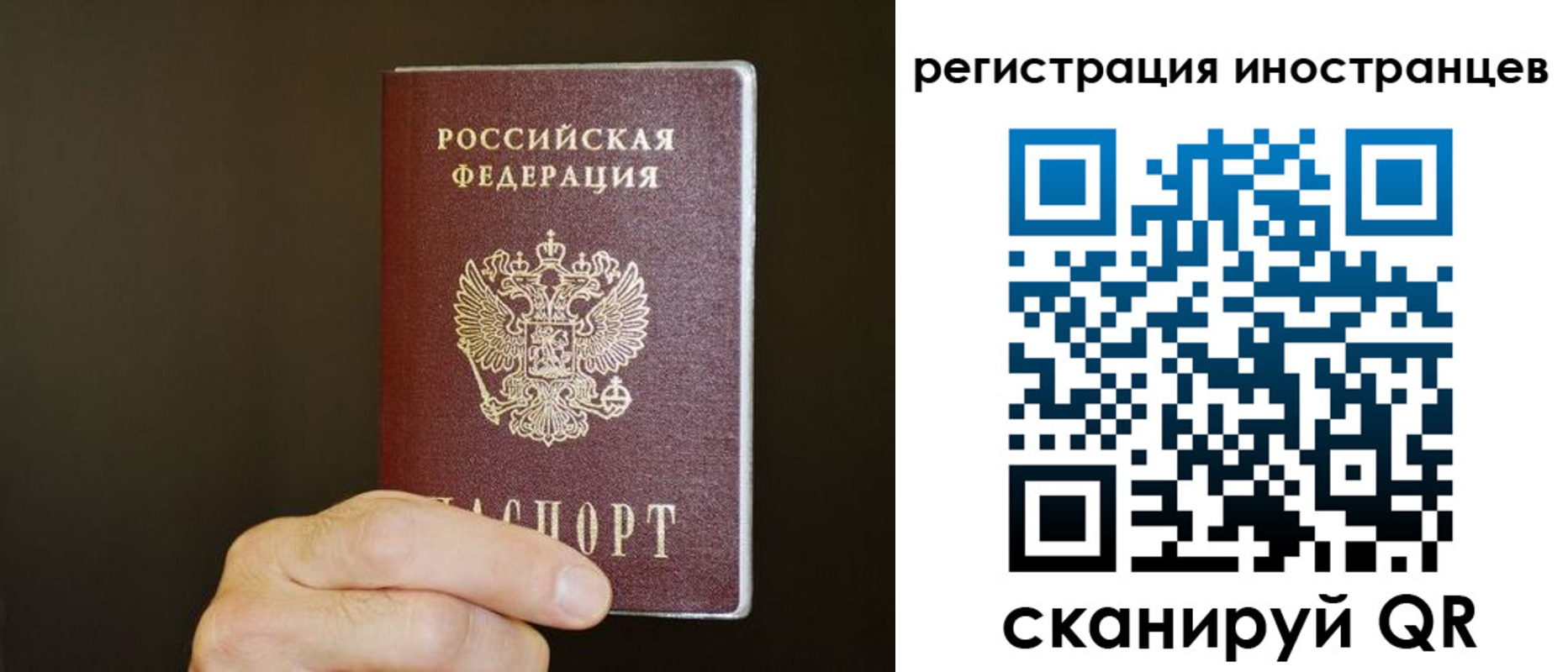 прописка в Лосино-Петровском